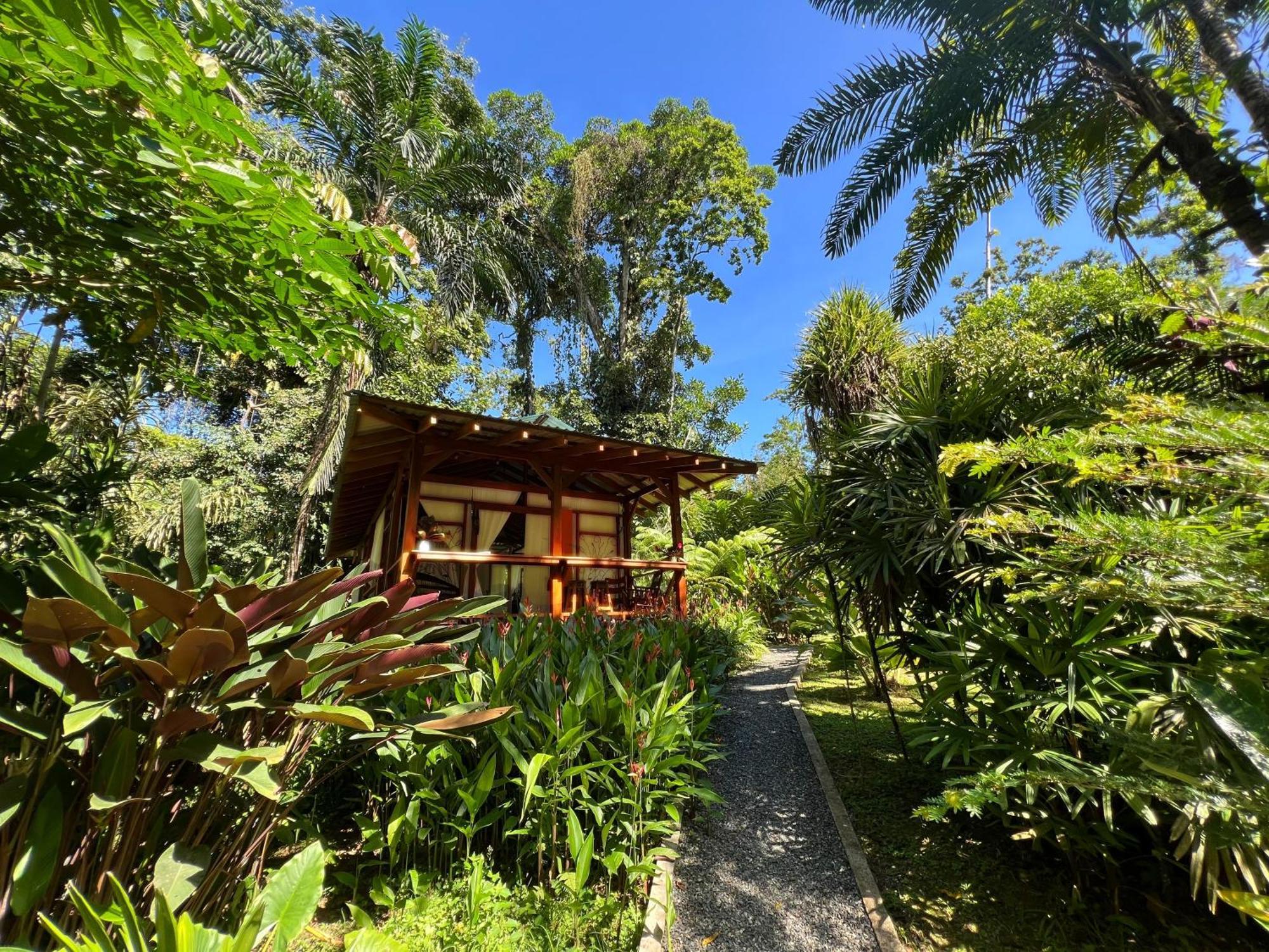 Geckoes Lodge Cocles Luaran gambar